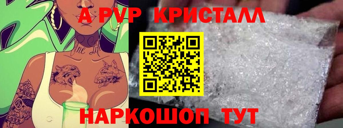 Alfa_PVP СК Североморск