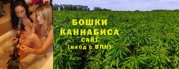 Альфа ПВП Пересвет