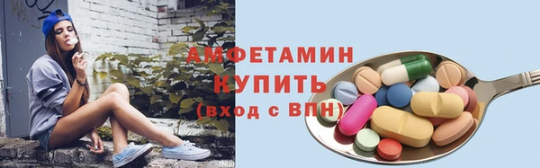 амф Пестово