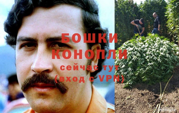 ГАЛЛЮЦИНОГЕННЫЕ ГРИБЫ Переславль-Залесский