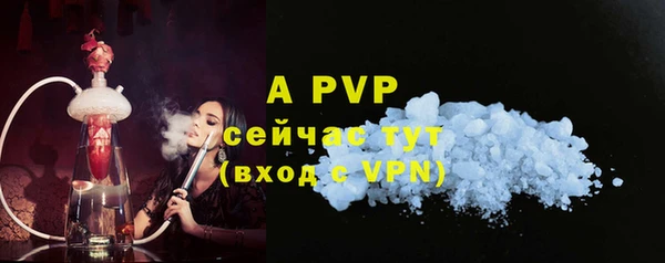 амф Пестово