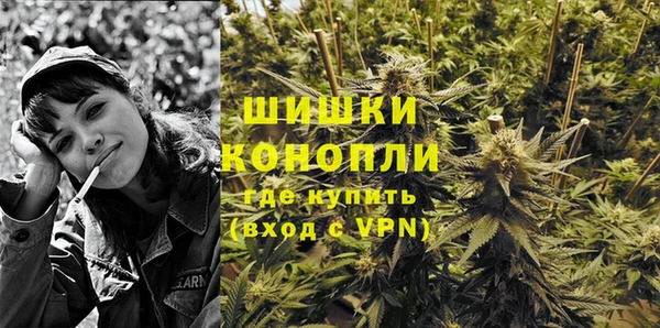 амф Пестово