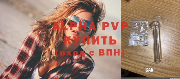 амф Пестово