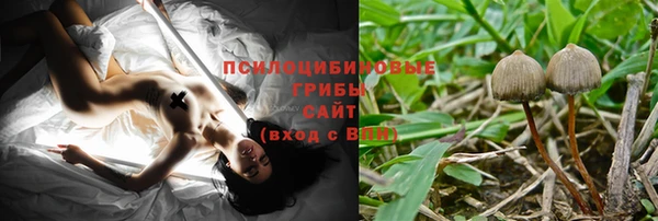 таблы Галич
