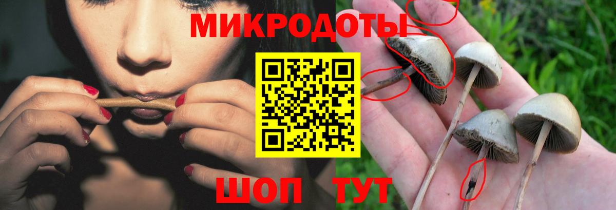 Североморск  Псилоцибиновые грибы GOLDEN TEACHER  Вход с VPN 